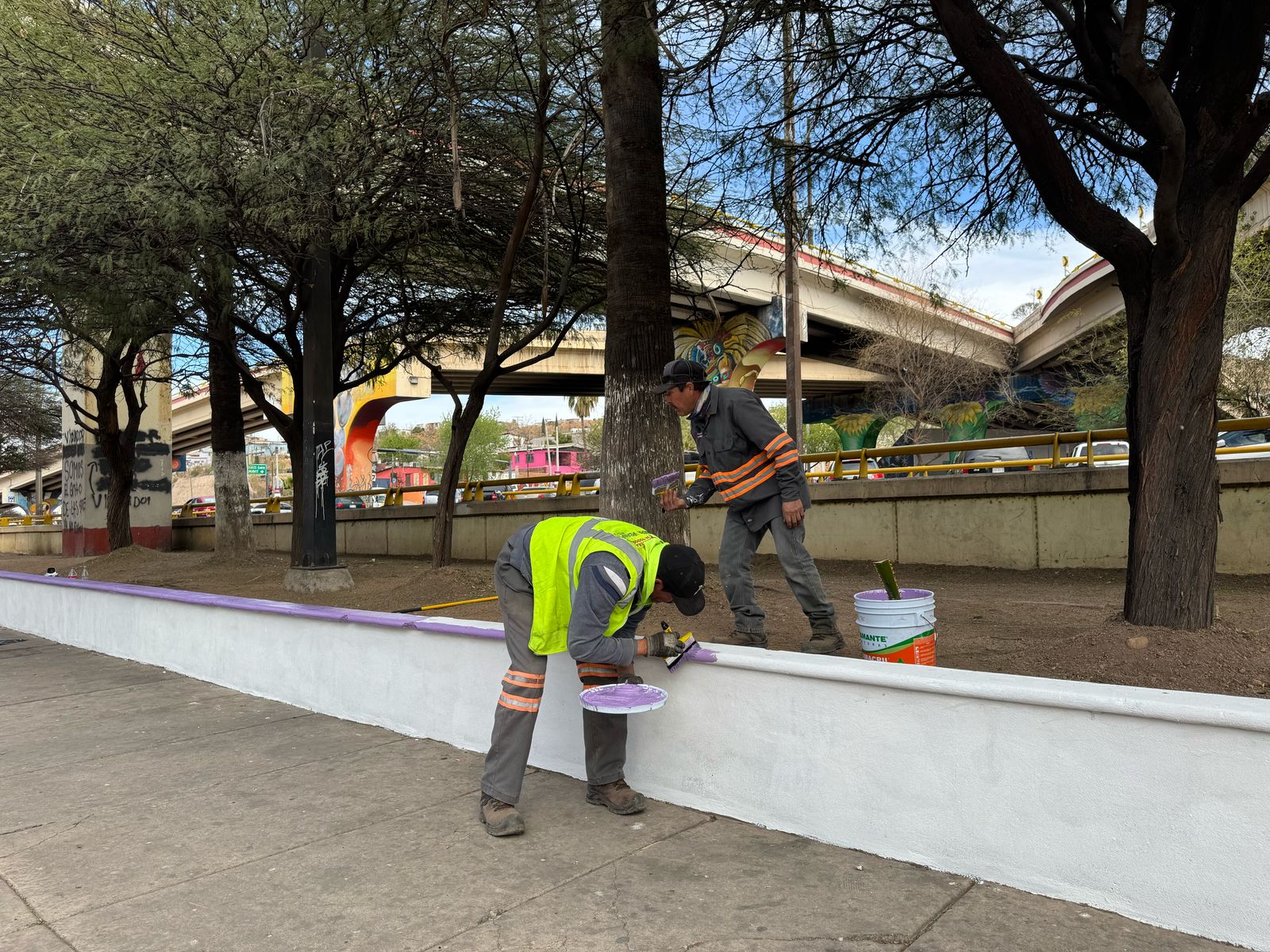 Intensifica Imagen Urbana embellecimiento de la ciudad