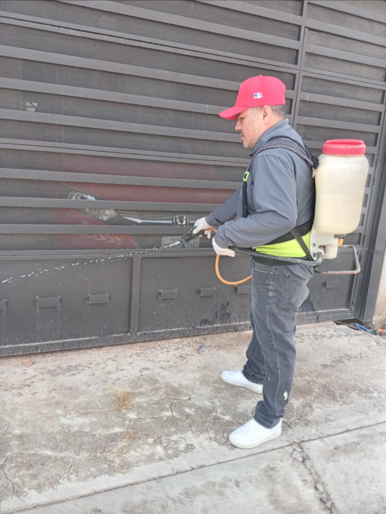 Refuerza CABA fumigación preventiva en colonias
