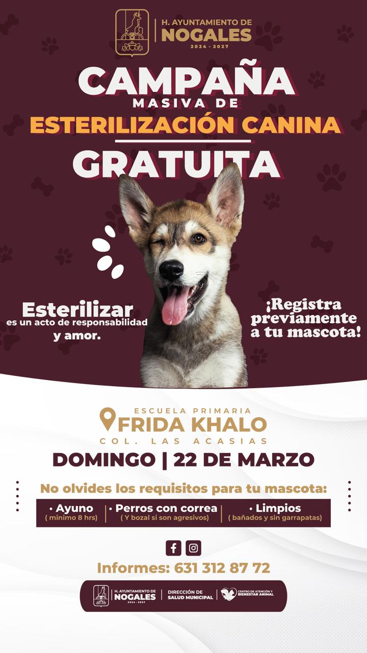 Invitan a jornada gratuita para mascotas en Acacias