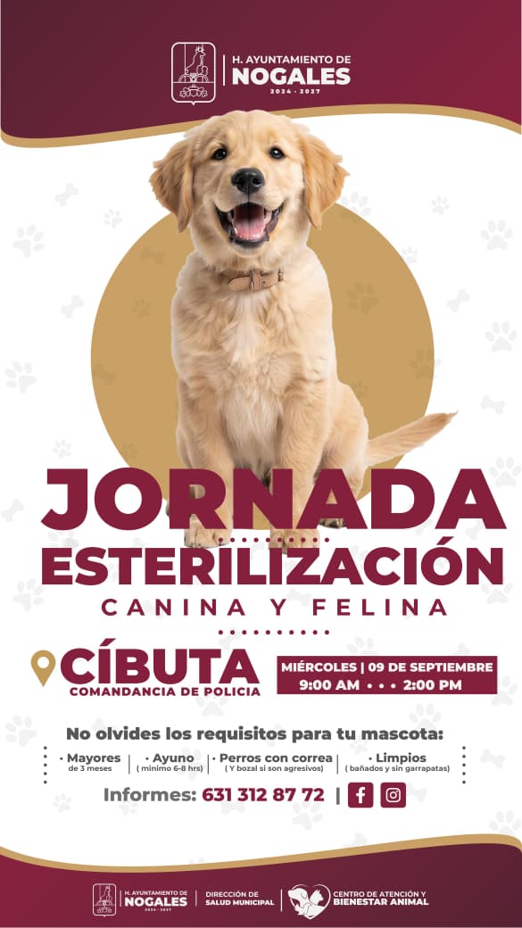 Llevarán jornada de esterilización a Cíbuta