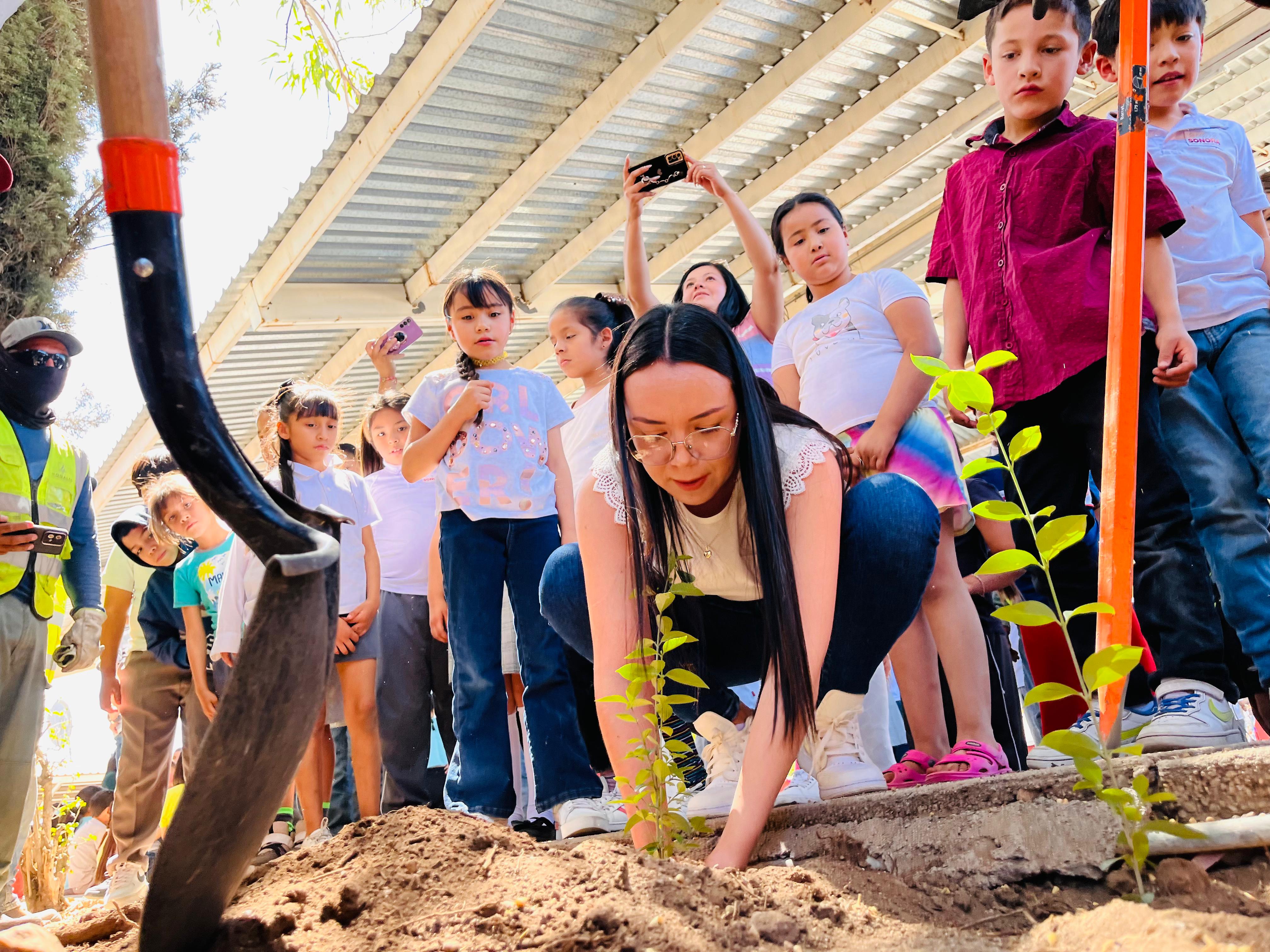 REFORESTA IMAGEN URBANA TRES ESCUELAS DE NIVEL BÁSICO