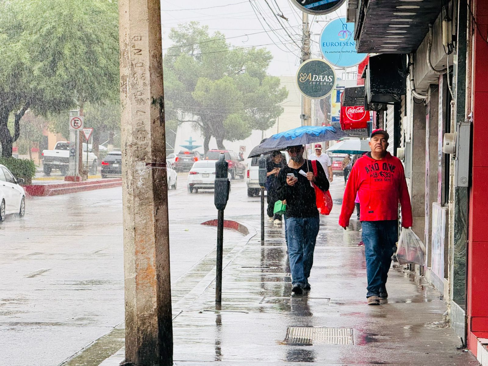 Prevén lluvias y tormentas en Nogales