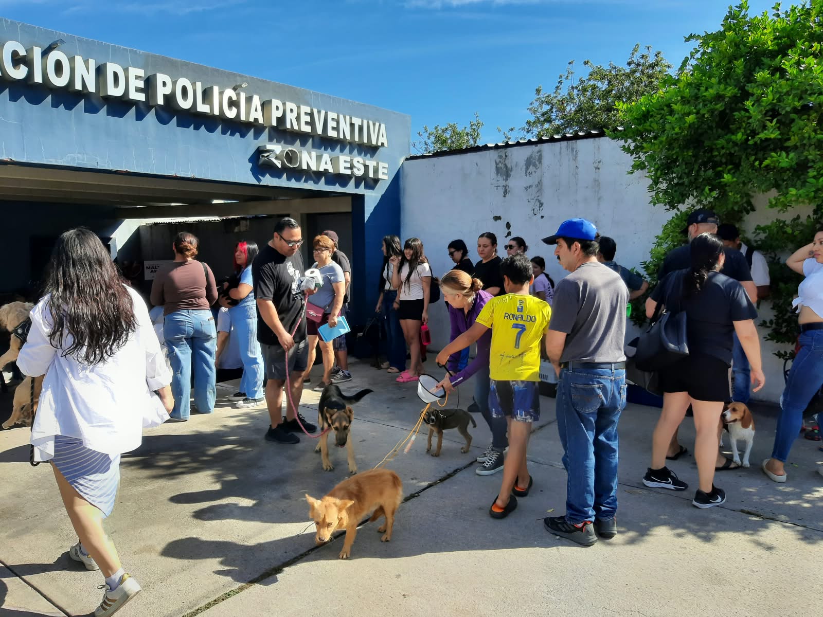 Realizan 81 esterilizaciones en la colonia Solidaridad