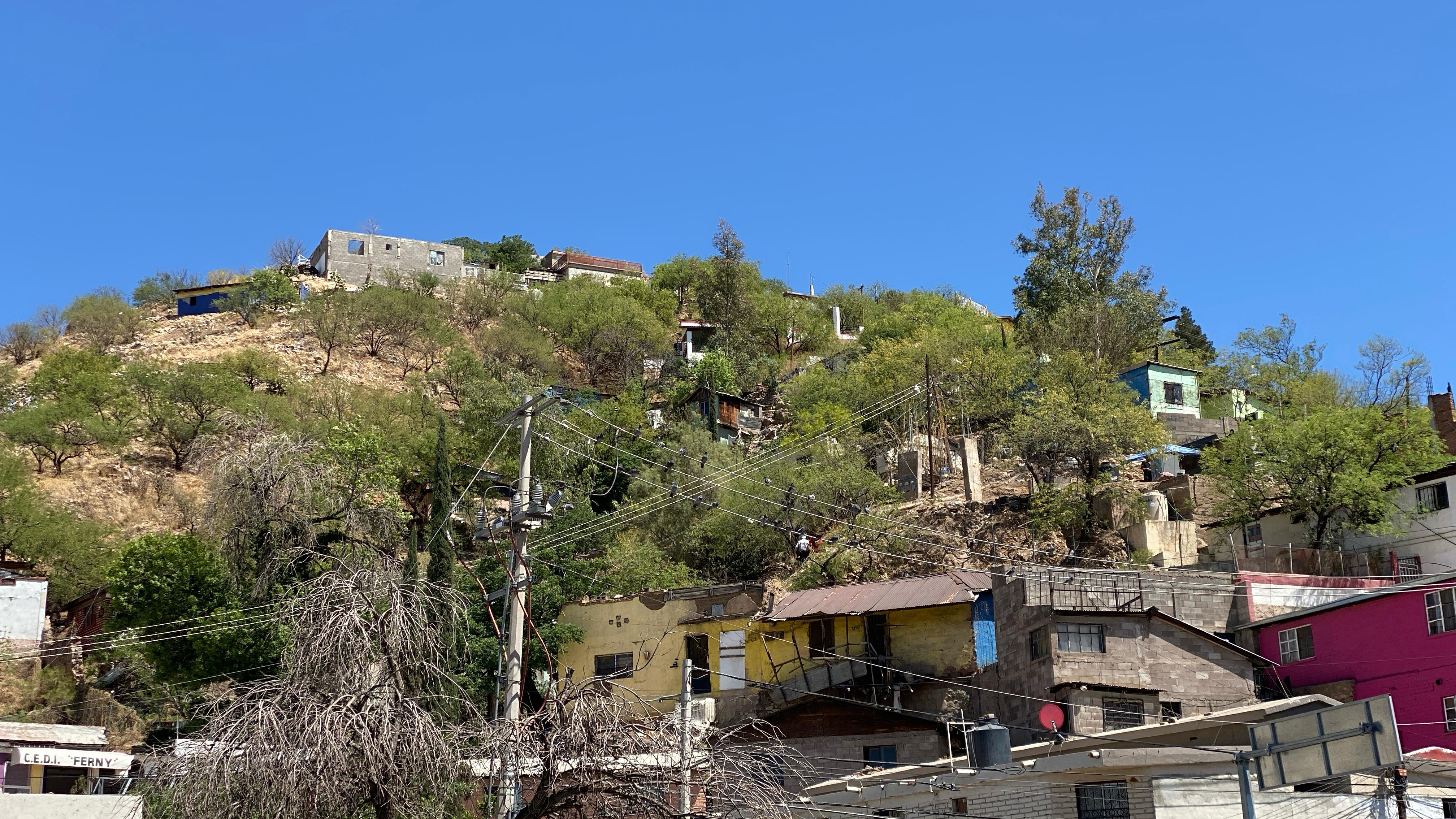 Actúan contra viviendas abandonadas y terrenos baldíos en Nogales