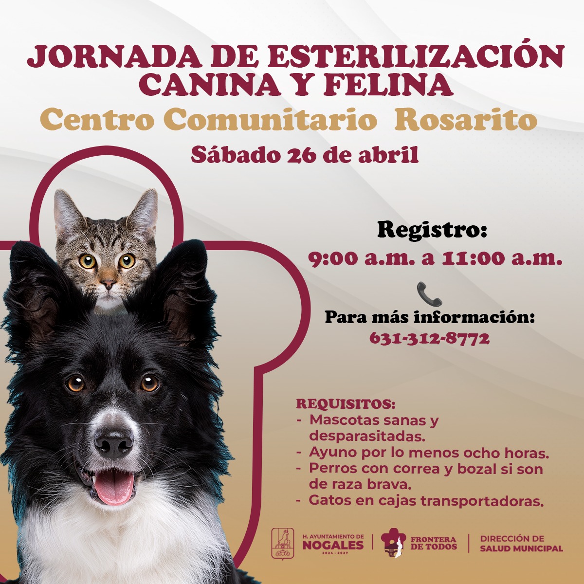 Invitan a Jornada de Esterilización Canina